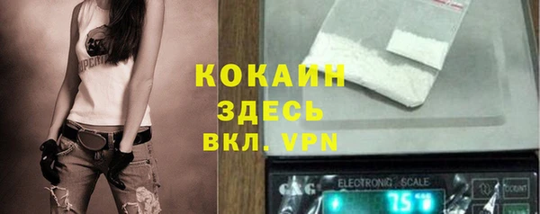 шишки Липки