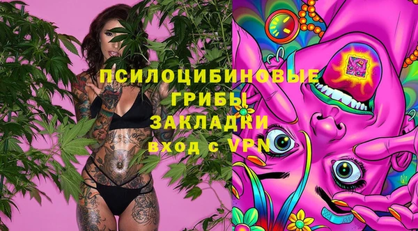 крисы Лабытнанги
