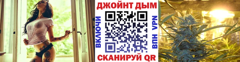 закладка  Александровское  Конопля семена 